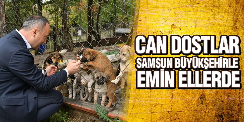 Can Dostlar Samsun Büyükşehirle Emin Ellerde