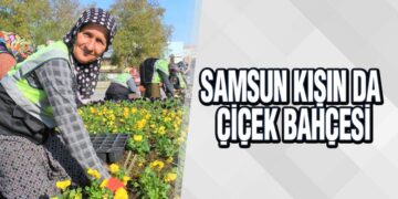 Samsun Kışın Da Çiçek Bahçesi