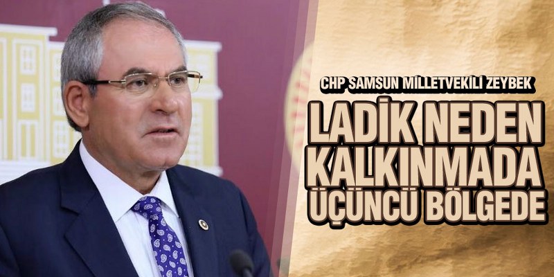 Zeybek, ‘Sanayi Ve Teknolojiye Ayrılan Destekler Yetersizdir’