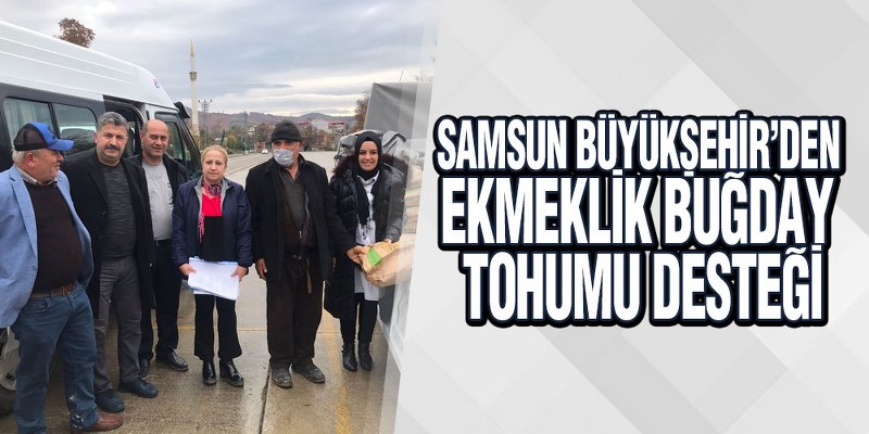 Samsun Büyükşehir’den Ekmeklik Buğday Tohumu Desteği