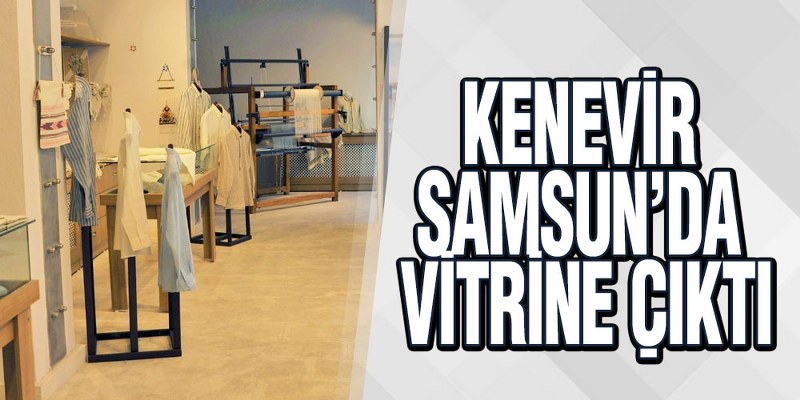 Kenevir Samsun’da Vitrine Çıktı