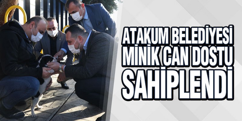 Atakum Belediyesi Minik Can Dostu Sahiplendi