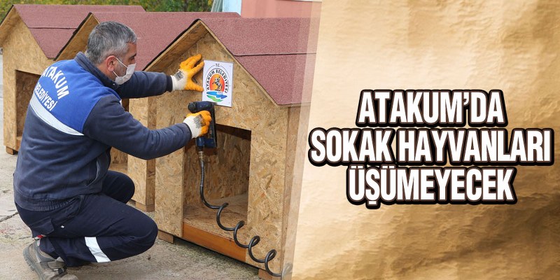 Atakum Belediyesi’nden Sokak Hayvanlarına Yuva