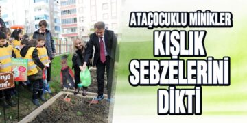 AtaÇocuklu Minikler Kışlık Sebzelerini Dikti