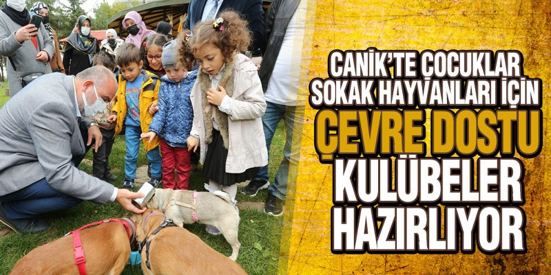 Canik’teki Sokak Hayvanları İçin Çevre Dostu Kulübeler