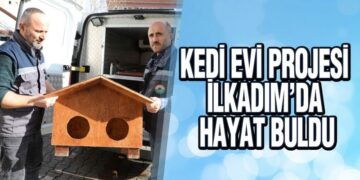 Sokaktaki Minik Dostların İçini Isıtacak Kedi Evleri İlkadım’da Hayata Geçti