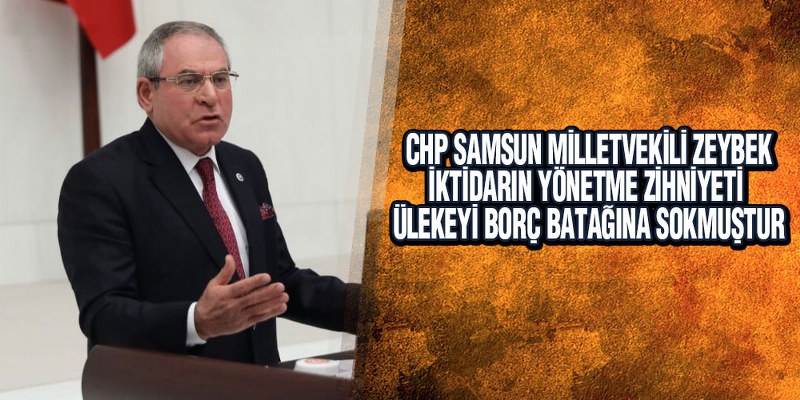Zeybek Bütçe Görüşmelerinde Konuştu