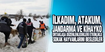 Kurumlar Yaşam Alanlarında Uzak Sessiz Can Dostlarını Beslemek İçin Seferber Oldular