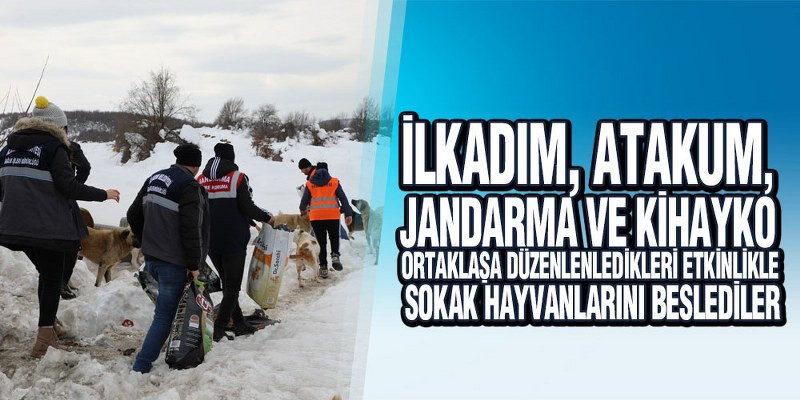 Kurumlar Yaşam Alanlarında Uzak Sessiz Can Dostlarını Beslemek İçin Seferber Oldular