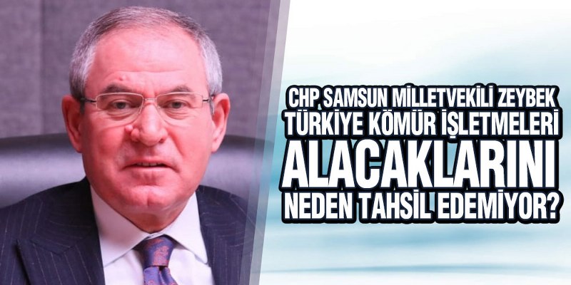 Zeybek, Et Ve Sütte Yaşanacak Sıkıntılara Dikkat Çekti