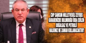 Zeybek, Doğalgaz ve Petrolü Sordu