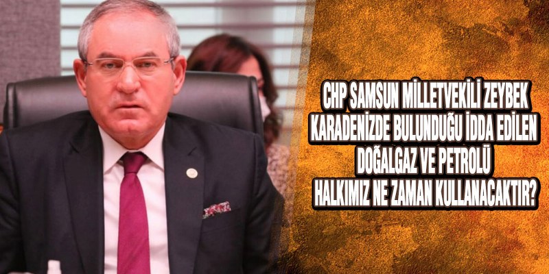 Zeybek, Doğalgaz ve Petrolü Sordu