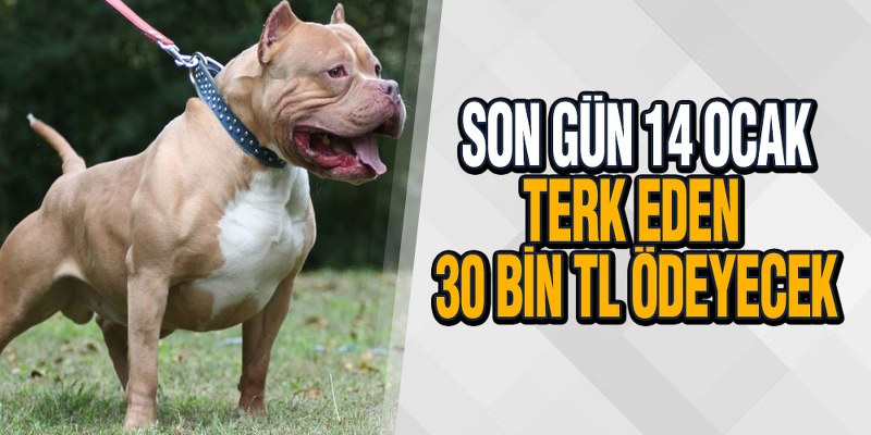 Samsun Büyükşehir Uyardı, Son Gün 14 Ocak