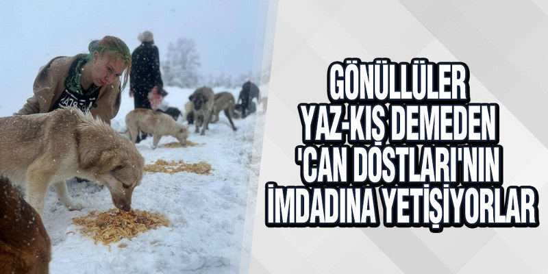 Gönüllüler Yaz-Kış Demeden ‘Can Dostları’nın İmdadına Yetişiyorlar