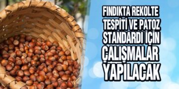 Ulusal Fındık Konseyi toplandı