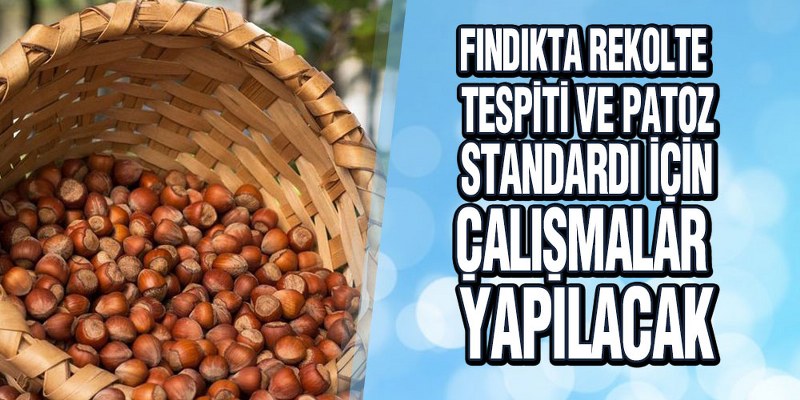 Ulusal Fındık Konseyi toplandı
