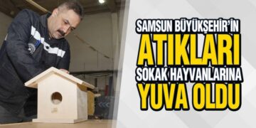 Samsun Büyükşehir’in Atıkları Sokak Hayvanlarına Yuva Oldu