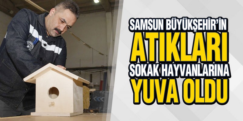 Samsun Büyükşehir’in Atıkları Sokak Hayvanlarına Yuva Oldu