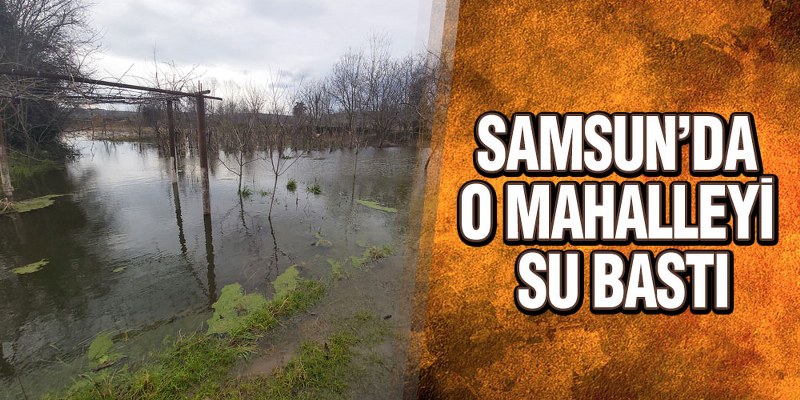 Samsun’da bir mahalle sular altında kaldı