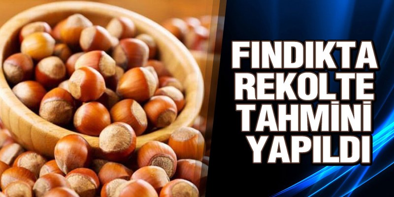 Fındıkta Rekolte Tahmini