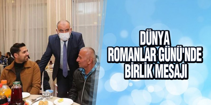 Dünya Romanlar Günü’nde ‘Birlik’ Mesajı