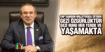 Zeybek’ten Gezi Davası Açıklaması