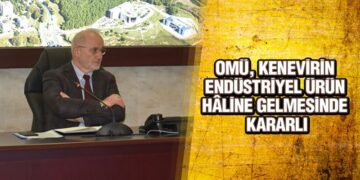 OMÜ, Kenevirin Endüstriyel Ürün Hâline Gelmesinde Kararlı