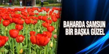 Baharda Samsun Bir Başka Güzel