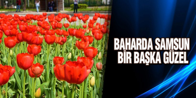 Baharda Samsun Bir Başka Güzel