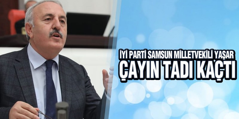 Yaşar, ‘Çay, Fiyatıyla Üreticiyi Mağdur Ediyor’