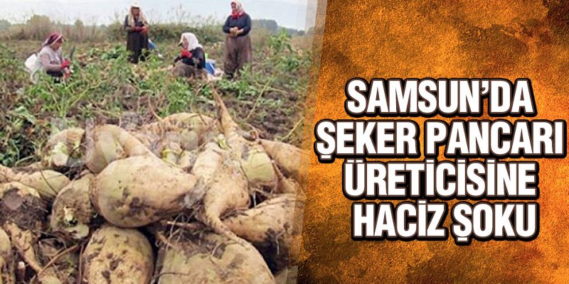 Samsun’da Şeker Pancarı Üreticisine Haciz Şoku