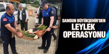 Samsun’da Elektrik Çarpan Yaralı Leylek Tedavi Altında