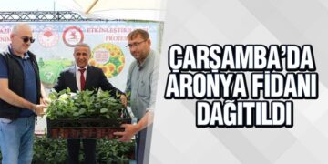 Çarşamba’da Aronya Fidanı Dağıtıldı