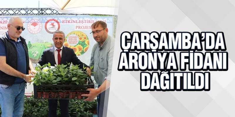 Çarşamba’da Aronya Fidanı Dağıtıldı