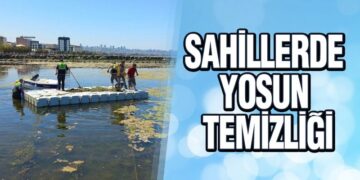Samsun Büyükşehir Belediyesi sahil ve plajlarda yosun temizliği yaptı