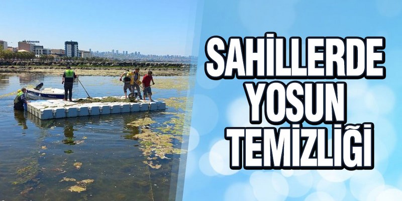 Samsun Büyükşehir Belediyesi sahil ve plajlarda yosun temizliği yaptı