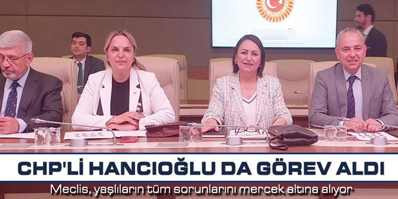 Meclis, yaşlıların tüm sorunlarını mercek altına alıyor