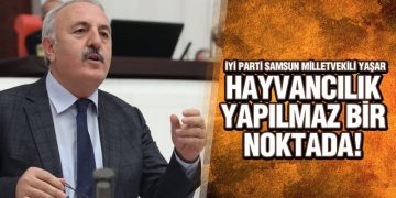 Yaşar, ‘Yem fiyatlarının yanına yanaşılmıyor’
