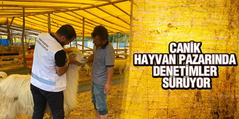 Canik Hayvan Pazarında Denetimler Sürüyor