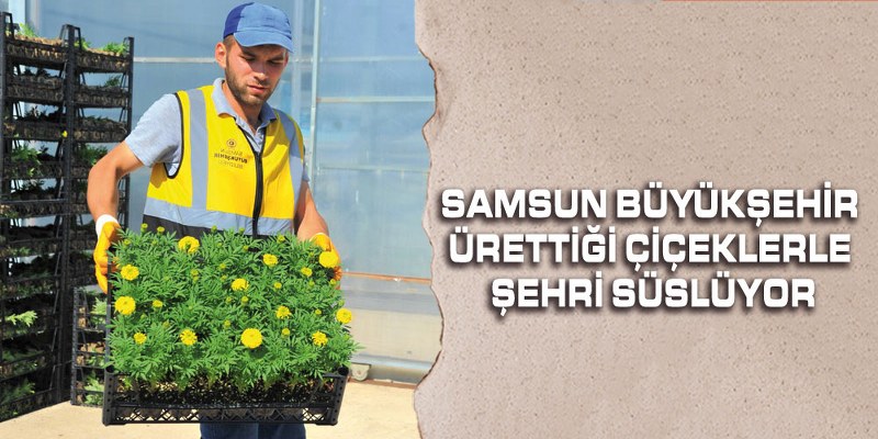 Samsun Büyükşehir Ürettiği Çiçeklerle Şehri Süslüyor