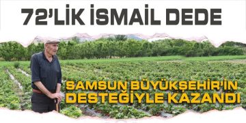 Samsun Büyükşehir’in Çilek Desteği İsmail Dedeye kazandırdı