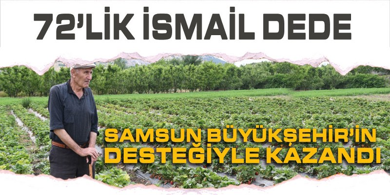 Samsun Büyükşehir’in Çilek Desteği İsmail Dedeye kazandırdı