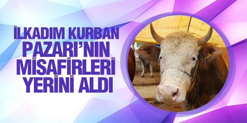 Başkan Demirtaş Kurban Pazar Yerinde İncelemelerde Bulundu