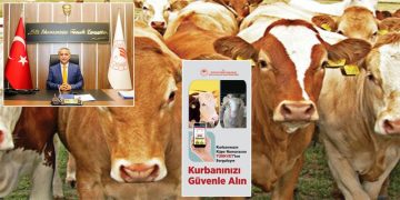 Kurbanlık Hayvan Alış Satış ve Kesimlerinde Dikkat Edilecek Hususlar!