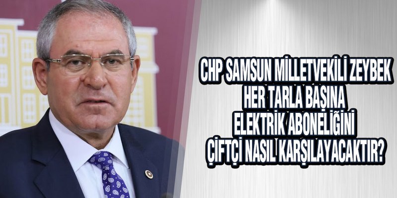 Zeybek, ‘Elektrik Fiyatları İle Mazot Fiyatları Çok Yüksek’
