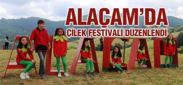 Alaçam’da Çilek Festivali Düzenlendi
