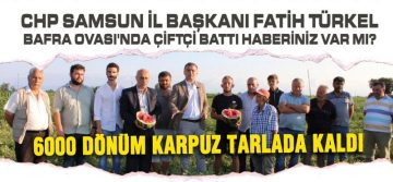 Türkel, ‘Bafra Ovası’nda Çiftçi Battı’
