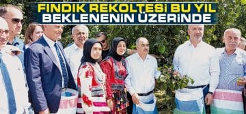 Ondokuzmayıs’ta Fındık Hasat Etkinliği