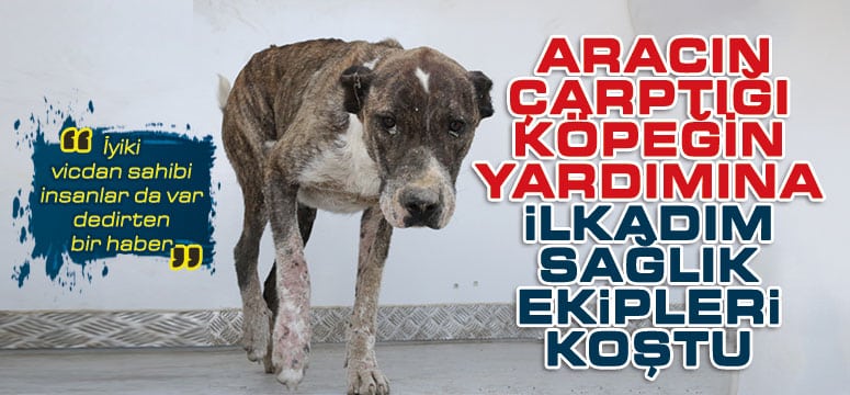 Vatandaşın Çare Arayışına Başkan Demirtaş Çözüm Oldu 