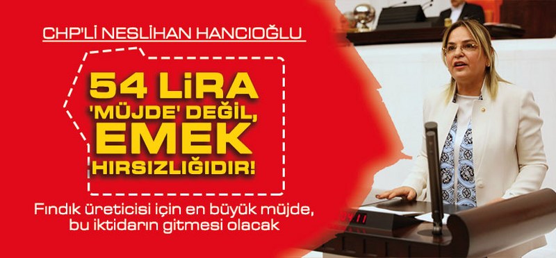 Hancıoğlu, 54 lira ‘Müjde’ Değil, Emek Hırsızlığıdır!’